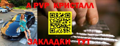 шишки Кимры
