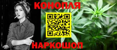 шишки Кимры