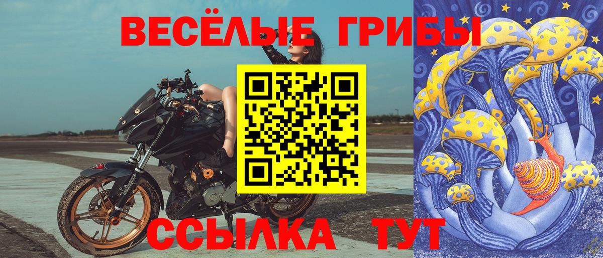 Псилоцибиновые грибы Cubensis Сургут