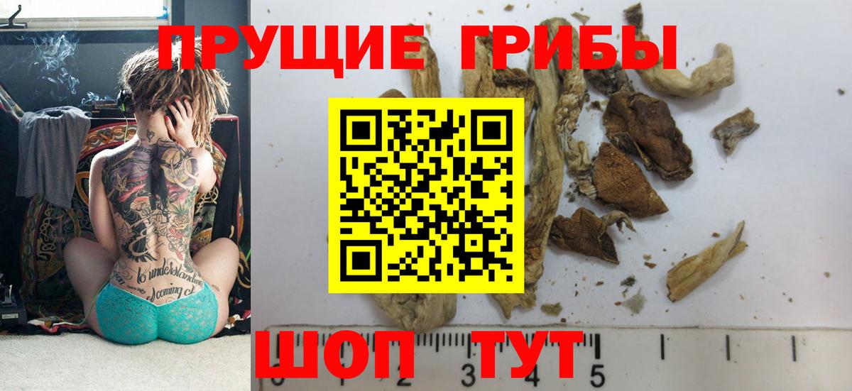 Галлюциногенные грибы мухоморы  Галлюциногенные грибы мицелий  Сургут 