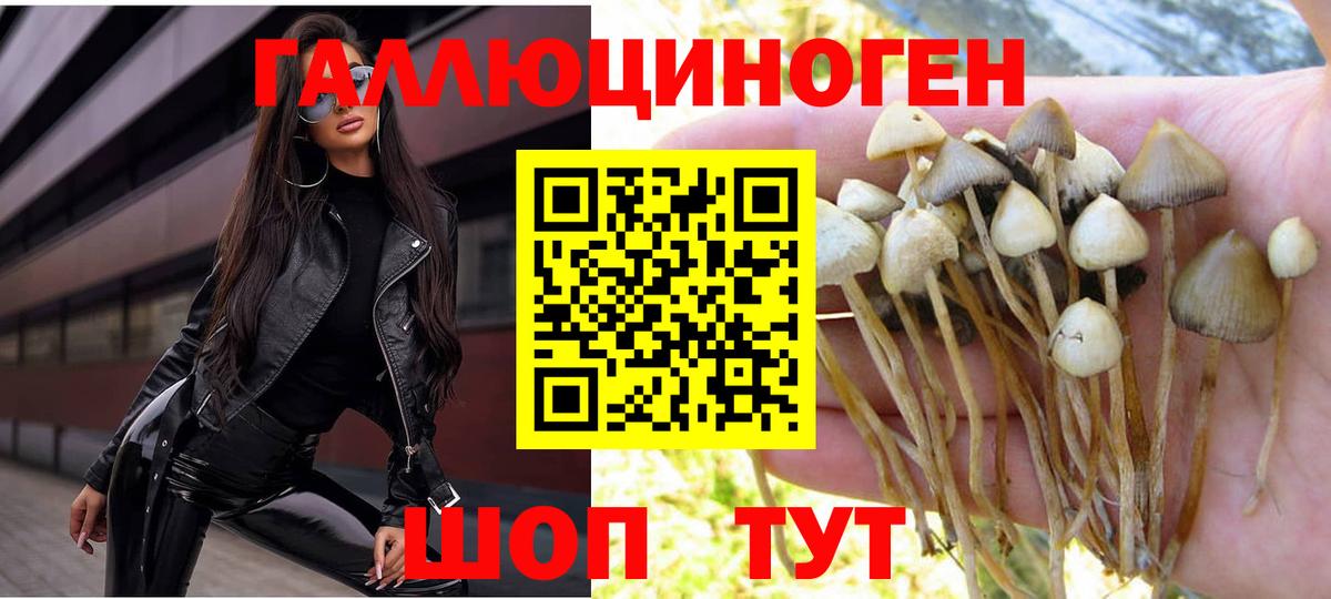 Сургут  Псилоцибиновые грибы GOLDEN TEACHER  Вход с VPN 